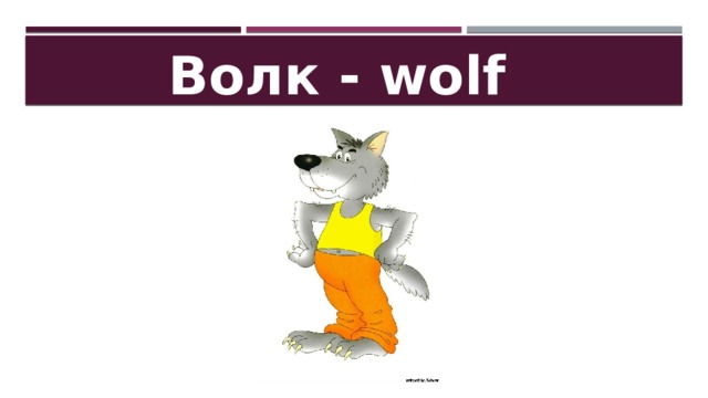 Волк - wolf 