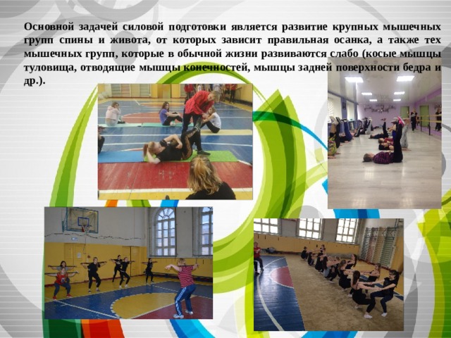 Основной задачей силовой подготовки является развитие крупных мышечных групп спины и живота, от которых зависит правильная осанка, а также тех мышечных групп, которые в обычной жизни развиваются слабо (косые мышцы туловища, отводящие мышцы конечностей, мышцы задней поверхности бедра и др.). 