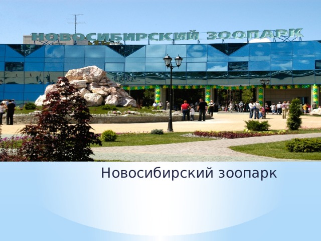 Новосибирский зоопарк 