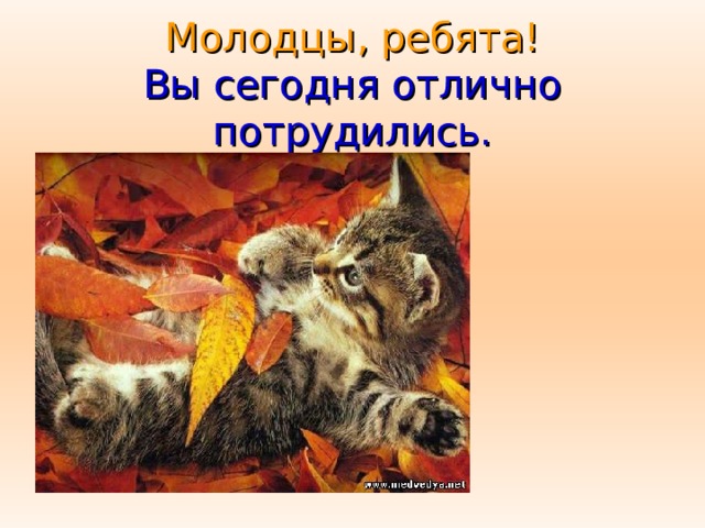 Молодцы, ребята!  Вы сегодня отлично потрудились. 