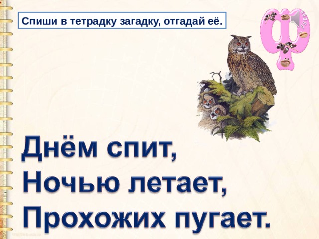 Спиши в тетрадку загадку, отгадай её. 