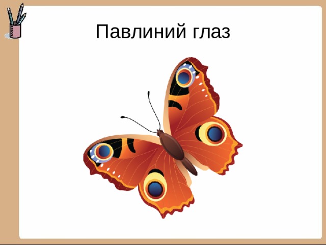 Павлиний глаз 