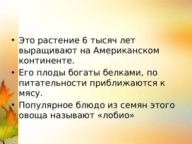 Это растение 6 тысяч лет выращивают на Американском континенте. Его плоды богаты белками, по питательности приближаются к мясу. Популярное блюдо из семян этого овоща называют «лобио» 