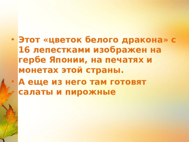 Этот «цветок белого дракона» с 16 лепестками изображен на гербе Японии, на печатях и монетах этой страны. А еще из него там готовят салаты и пирожные 