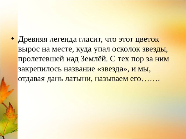 Древняя легенда гласит, что этот цветок вырос на месте, куда упал осколок звезды, пролетевшей над Землёй. С тех пор за ним закрепилось название «звезда», и мы, отдавая дань латыни, называем его……. 