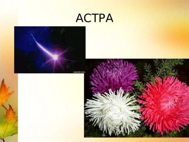 АСТРА 