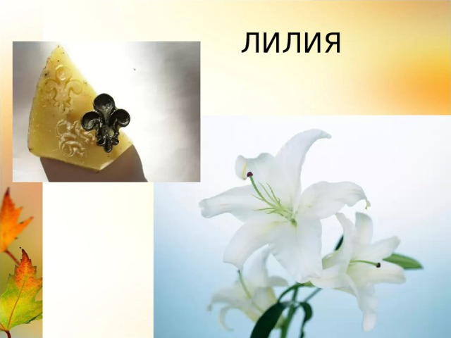  ЛИЛИЯ 