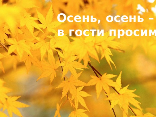 Осень, осень – в гости просим 