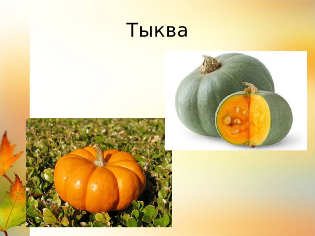 Тыква 