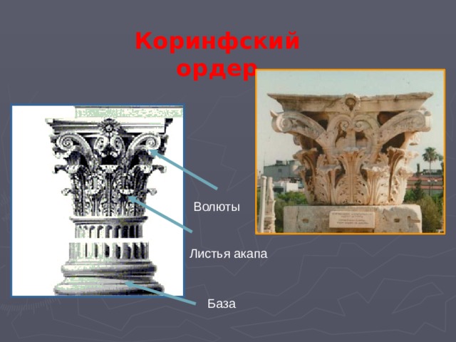Коринфский ордер Волюты Листья акапа База 