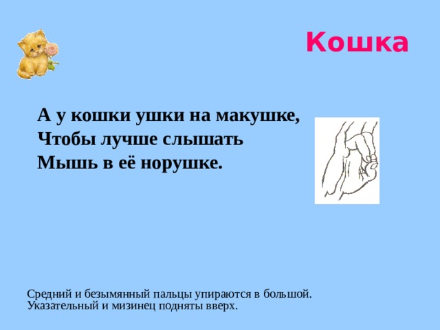 Кошка А у кошки ушки на макушке, Чтобы лучше слышать Мышь в её норушке. Средний и безымянный пальцы упираются в большой. Указательный и мизинец подняты вверх. 
