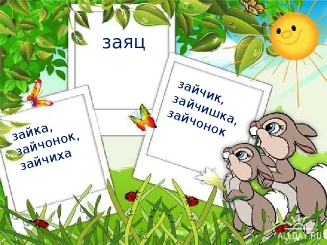 зайчик, зайчишка, зайчонок зайка, зайчонок, зайчиха заяц 