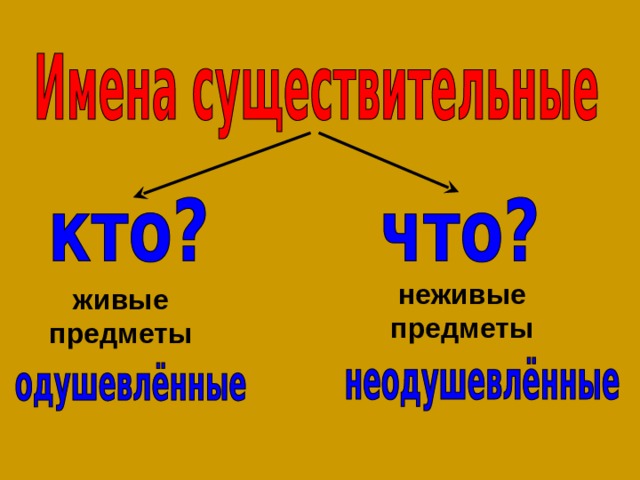 неживые предметы живые предметы 
