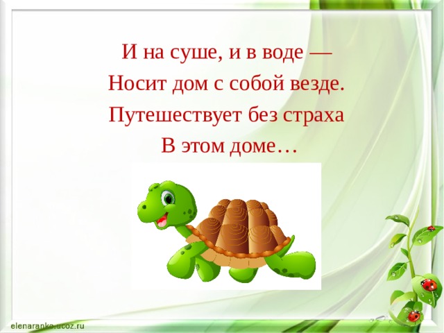  И на суше, и в воде — Носит дом с собой везде. Путешествует без страха В этом доме…    