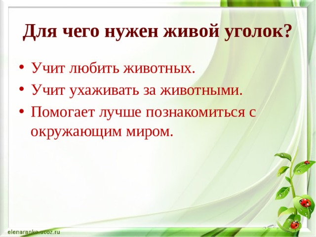 Для чего нужен живой уголок? Учит любить животных. Учит ухаживать за животными. Помогает лучше познакомиться с окружающим миром. 
