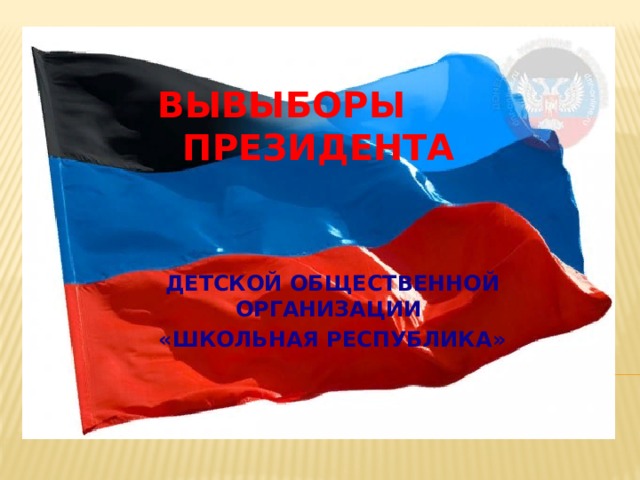ВЫ ВЫБОРЫ ПРЕЗИДЕНТА ДЕТСКОЙ ОБЩЕСТВЕННОЙ ОРГАНИЗАЦИИ «ШКОЛЬНАЯ РЕСПУБЛИКА» 