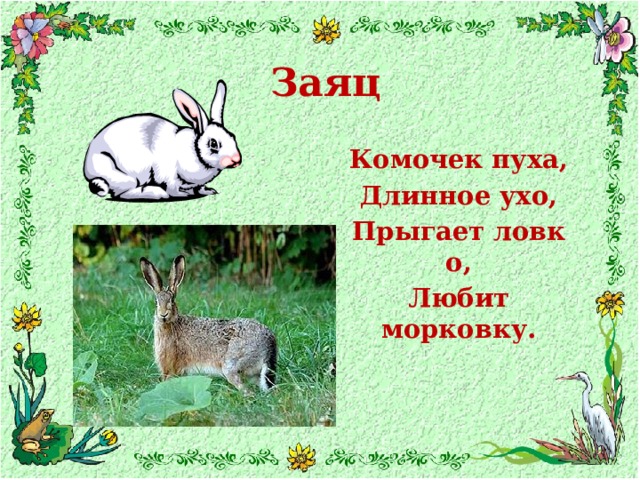 Заяц Комочек пуха, Длинное ухо, Прыгает ловко, Любит морковку.  