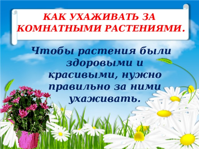 КАК УХАЖИВАТЬ ЗА КОМНАТНЫМИ РАСТЕНИЯМИ . Чтобы растения были здоровыми и красивыми, нужно правильно за ними ухаживать. 