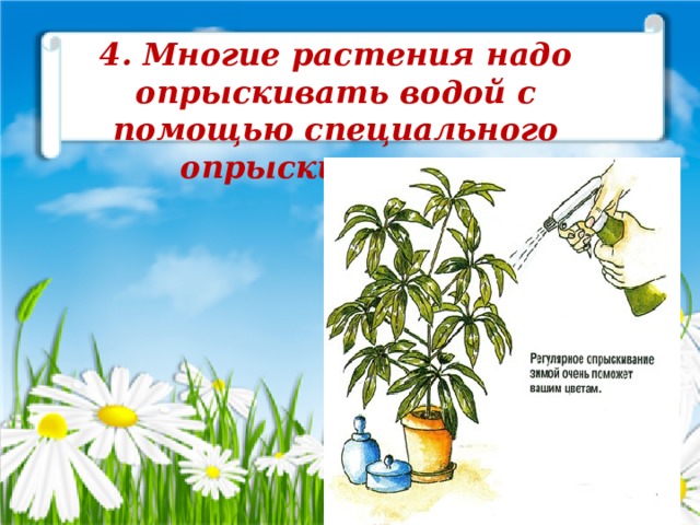 4. Многие растения надо опрыскивать водой с помощью специального опрыскивателя. 
