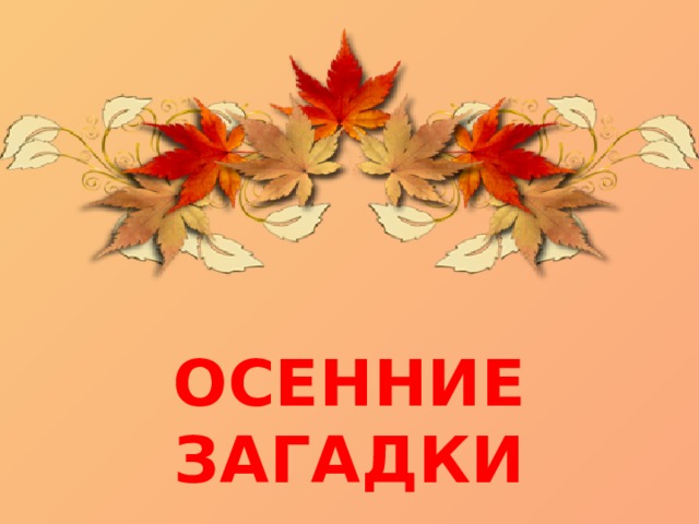 ОСЕННИЕ ЗАГАДКИ 