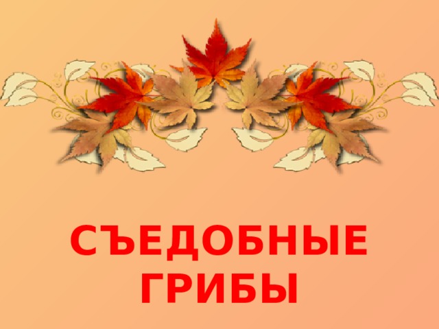 СЪЕДОБНЫЕ ГРИБЫ 