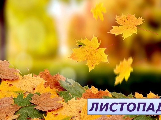 Листья в воздухе кружатся, Тихо на траву ложатся. Сбрасывает листья сад — Это просто... ЛИСТОПАД 