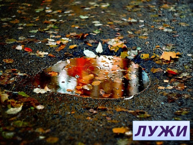 Стало хмуро за окном, Дождик просится к нам в дом. В доме сухо, а снаружи Появились всюду … ЛУЖИ 