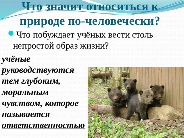 Что значит относиться к природе по-человечески? Что побуждает учёных вести столь непростой образ жизни? учёные руководствуются тем глубоким, моральным чувством, которое называется ответственностью 