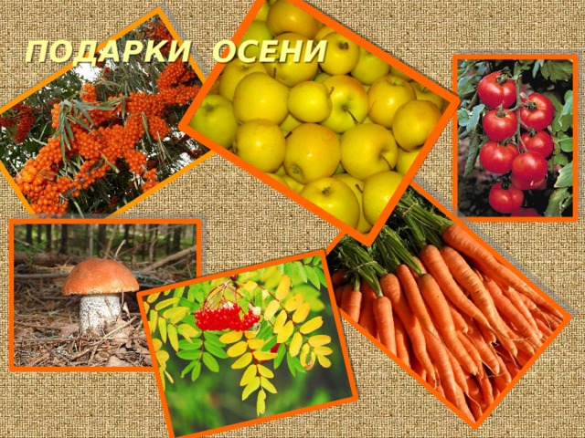 ПОДАРКИ ОСЕНИ 
