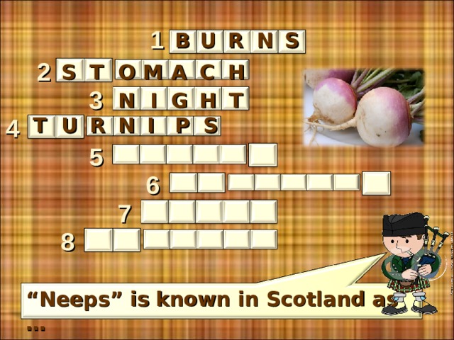 1 B U S N R 2 S T O M A C H 3 N  I T H G N R 4 U T P I S 5 6 7 8 “ Neeps” is known in Scotland as … 6 