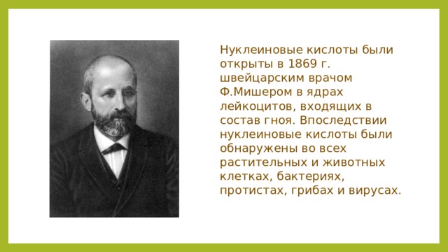 Нуклеиновые кислоты были открыты в 1869 г. швейцарским врачом Ф.Мишером в ядрах лейкоцитов, входящих в состав гноя. Впоследствии нуклеиновые кислоты были обнаружены во всех растительных и животных клетках, бактериях, протистах, грибах и вирусах. 