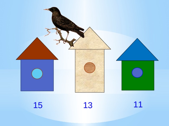 11 13 15  