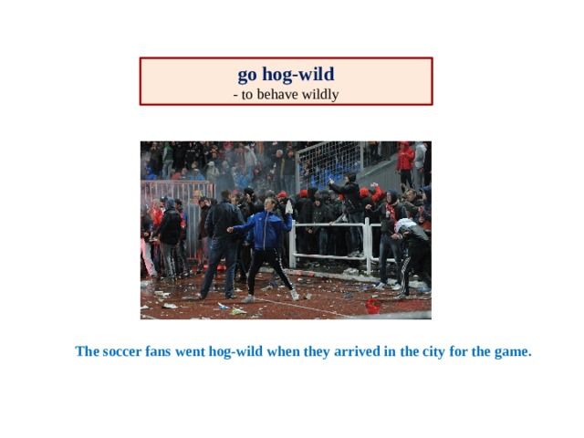 go hog-wild - to behave wildly The soccer fans went hog-wild when they arrived in the city for the game. 