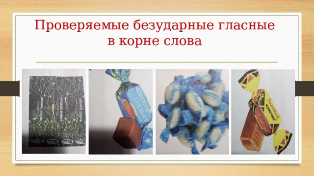 Проверяемые безударные гласные в корне слова 