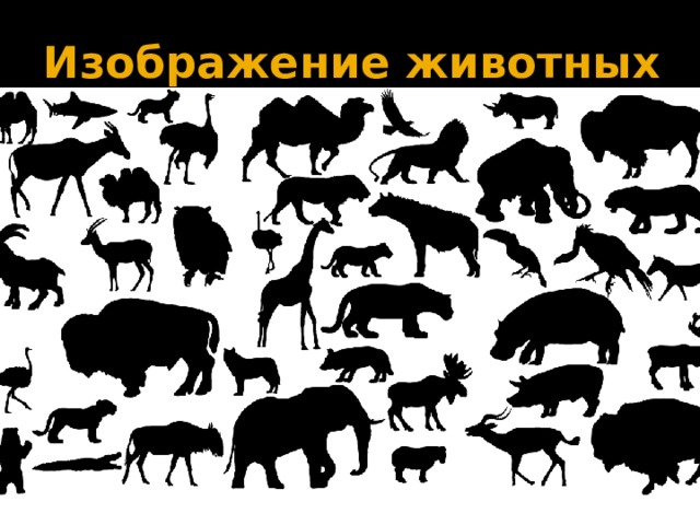 Изображение животных 