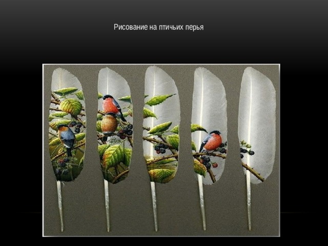 Рисование на птичьих перья 