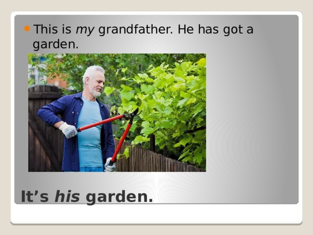 This is my grandfather. He has got a garden. It’s his garden. 