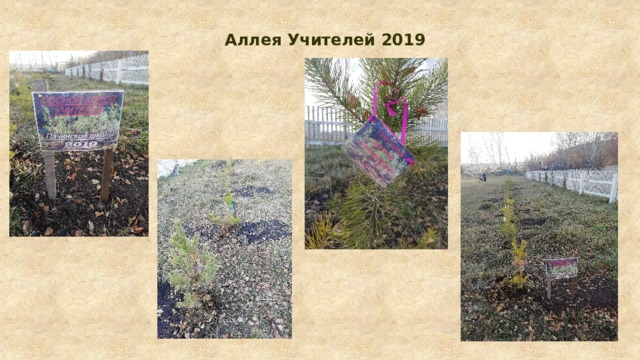 Аллея Учителей 2019 