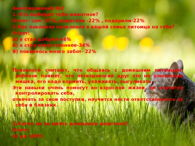 Анкетирование №2 1. Кто выбирал тебе животное? Ответ: сам -37%, родители -22% , подарили-22% 2.Как повлияло появление в вашей семье питомца на тебя? Ответ: А) я стал добрее-44% Б) я стал ответственнее-34% В) появилось много забот- 22%  Психологи считают, что общаясь с домашним питомцем, ребенок поймет, что четвероногий друг это не плюшевый мишка, его надо кормить, ухаживать, выгуливать. Эти навыки очень помогут во взрослой жизни, он научится контролировать себя, отвечать за свои поступки, научится нести ответственность за себя и близких.   3.Хотел ли ты иметь домашнее животное? Ответ: А) да-100% 