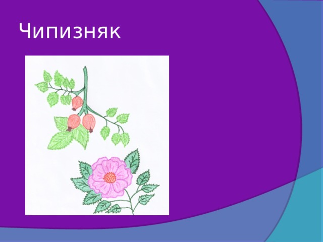 Чипизняк 