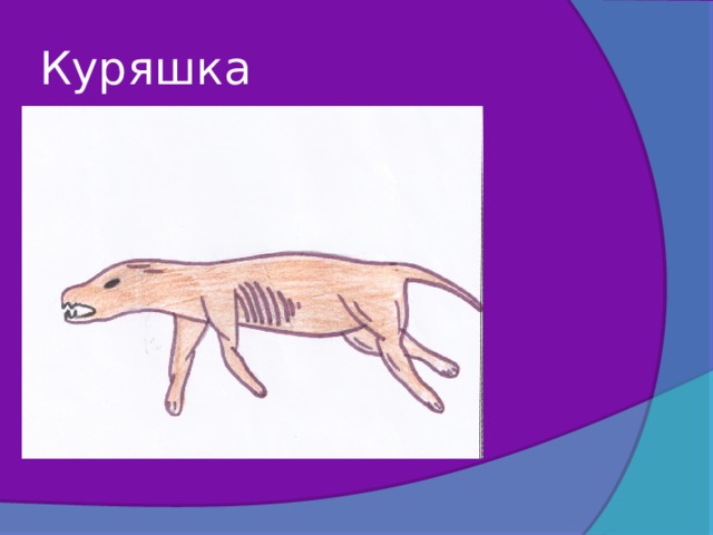 Куряшка 