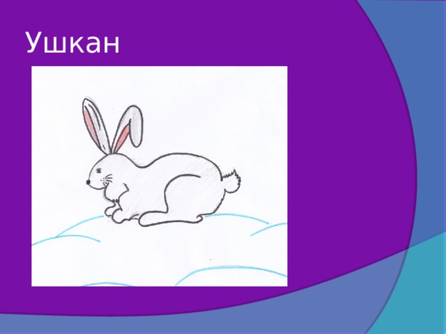 Ушкан 