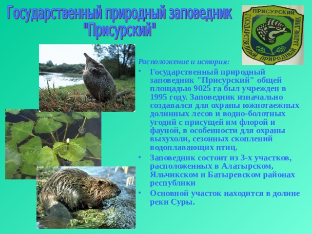 Расположение и история: Государственный природный заповедник 