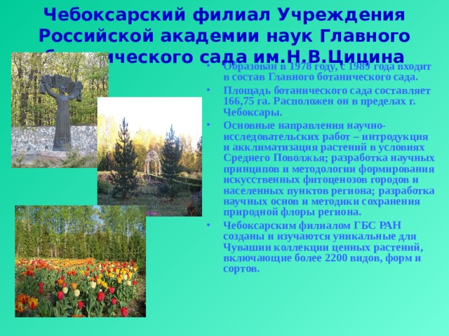 Чебоксарский филиал Учреждения Российской академии наук Главного ботанического сада им.Н.В.Цицина Образован в 1978 году, с 1989 года входит в состав Главного ботанического сада. Площадь ботанического сада составляет 166,75 га. Расположен он в пределах г. Чебоксары. Основные направления научно-исследовательских работ – интродукция и акклиматизация растений в условиях Среднего Поволжья; разработка научных принципов и методологии формирования искусственных фитоценозов городов и населенных пунктов региона; разработка научных основ и методики сохранения природной флоры региона. Чебоксарским филиалом ГБС РАН созданы и изучаются уникальные для Чувашии коллекции ценных растений, включающие более 2200 видов, форм и сортов. 