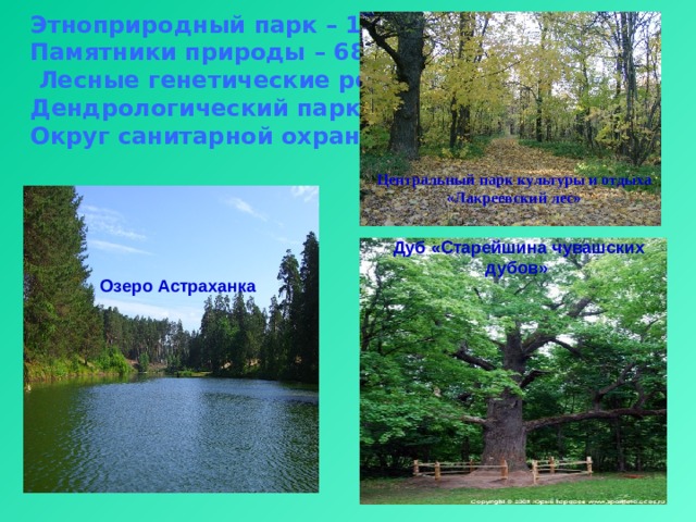 Этноприродный парк – 1  Памятники природы – 68  Лесные генетические резерваты - 5  Дендрологический парк - 1,  Округ санитарной охраны - 4   Центральный парк культуры и отдыха «Лакреевский лес»  Дуб «Старейшина чувашских дубов»  Озеро Астраханка  