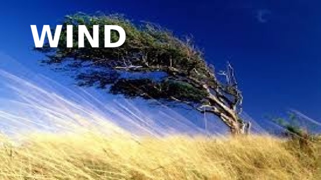 Wind 