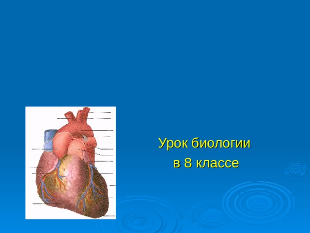         Кровообращение.  Строение и работа сердца Урок биологии в 8 классе 