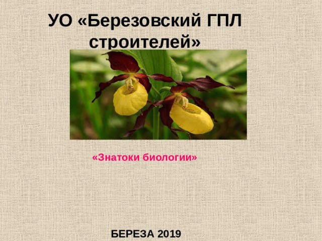 УО «Березовский ГПЛ строителей»  ТУРНИР  «Знатоки биологии»  БЕРЕЗА 2019