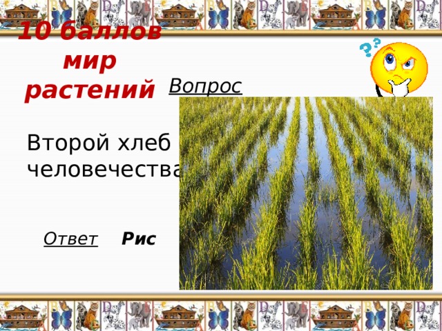 10 баллов  мир растений Вопрос Второй хлеб человечества Ответ Рис