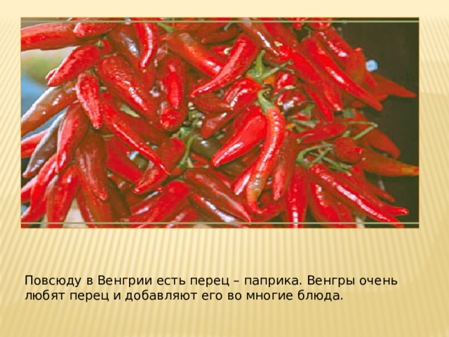 Повсюду в Венгрии есть перец – паприка. Венгры очень любят перец и добавляют его во многие блюда. 